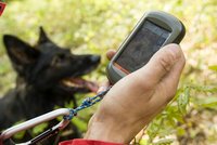 Místo smaženice pěkná polízanice! Muž se při houbaření ztratil v Klánovickém lese, hledali ho psovodi