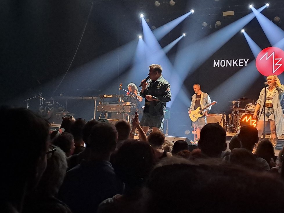 Monkey Business na Metronome Festivalu.