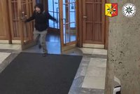 Se železnou tyčí vtrhl na ministerstvo zdravotnictví! Muže hledá policie
