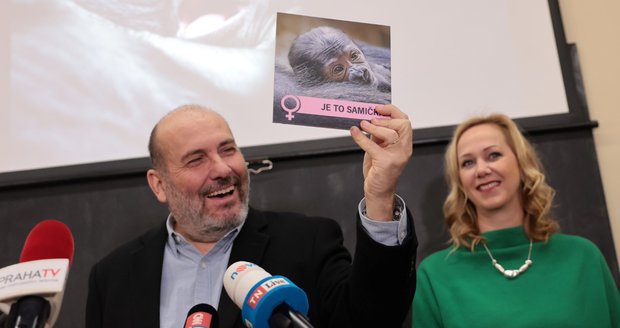 Miroslav Bobek, Zoo Praha