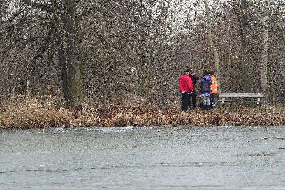 Mrtvolu vytáhli policisté z rybníku v Újezdu nad Lesy. Tělo bylo ve vodě déle než 10 hodin.