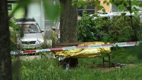 Na lavičce v Podolí našli mrtvého muže. (26. května 2022)