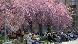 Na horách leží sníh, ale... Meteorologové promluvili o přelomu února a března: Bude až 20 °C