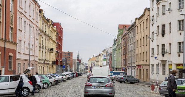 V ulici Pod Pekárnami bude založeno jírovcové stromořadí jako připomínka jírovcové aleje kolem královské staroboleslavské cesty, jejíž je ulice Sokolovská a Pod Pekárnami původní součástí.