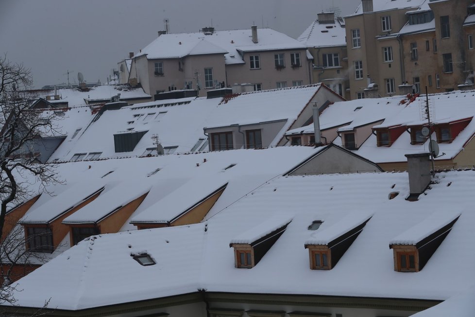 Střechy jsou plné sněhu (16. února 2021).