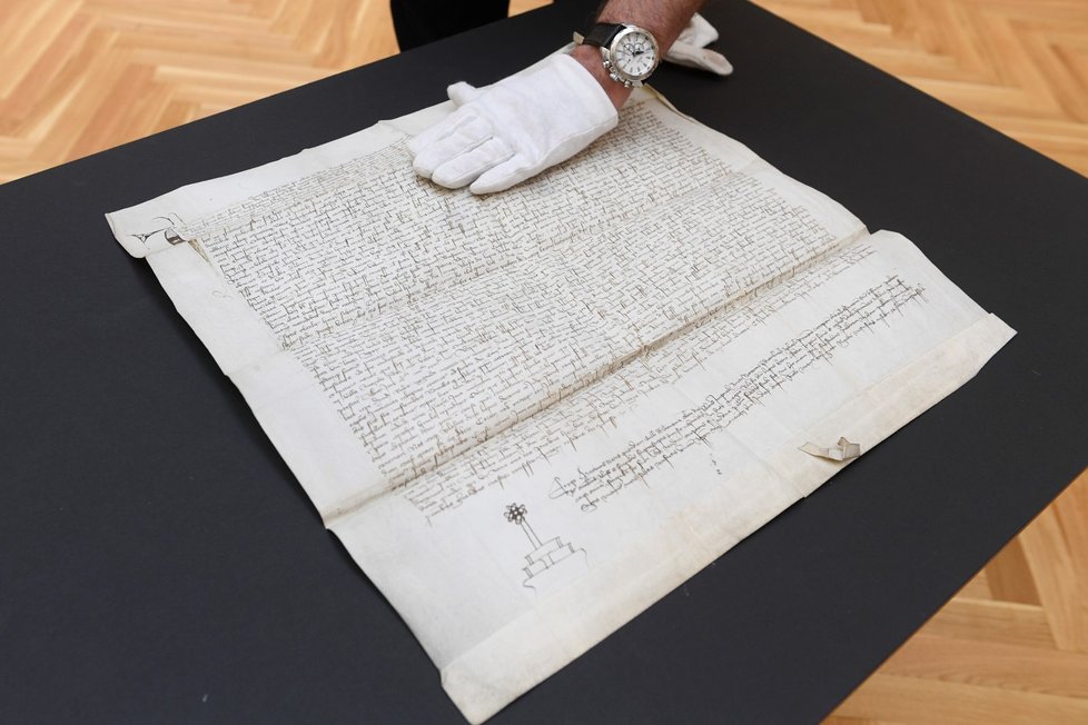 Národní knihovna představila 10. června 2019 v Praze vzácný notářský instrument z roku 1406, který získala v aukci a zaplatila za něj včetně aukčních poplatků 18,2 milionu korun. Právní doklad napsaný na pergamenu o rozměrech 54,2 x 52 centimetrů brzy vystaví v Klementinu.