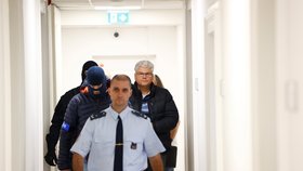 Korupční kauza v Motole: Obviněného exředitele Ludvíka střídá lékařka Valentová-Bartáková, ministr ji pověřil