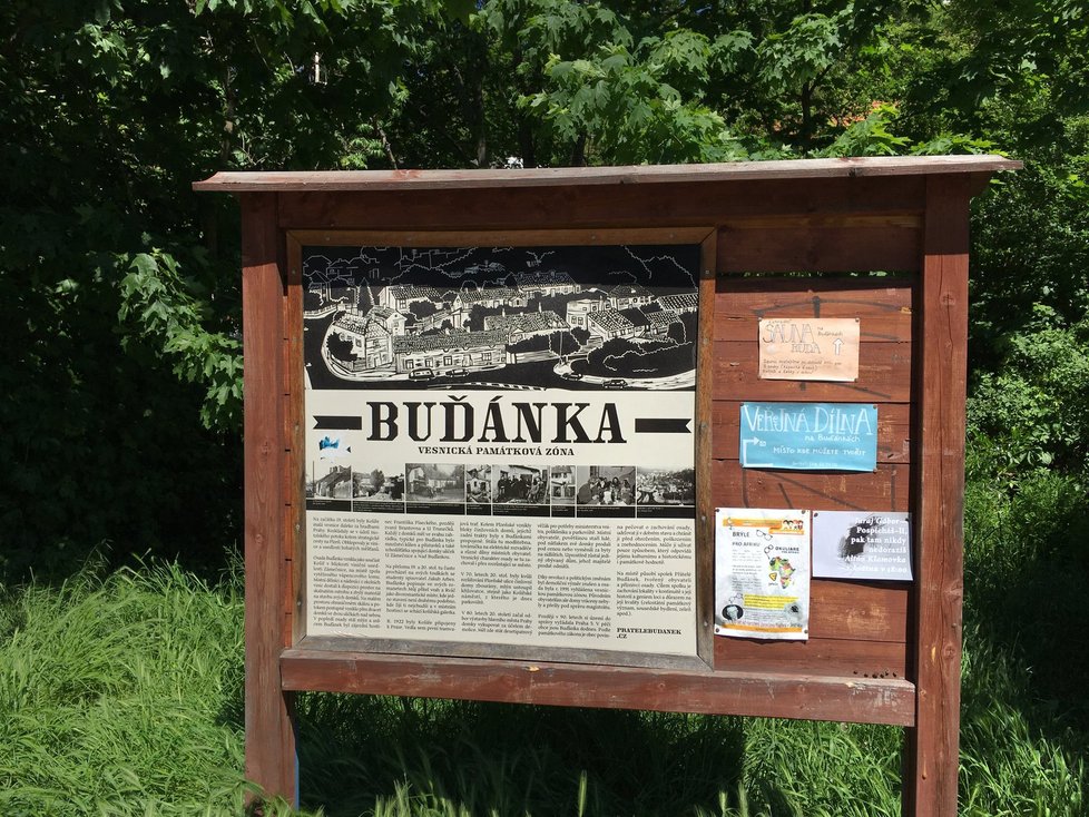 V osadě Buďánka, která je v památkové zóně, majitel jednoho z domů pokácel desítky zdravých stromů.