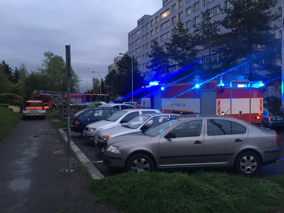 V bytě v pražských Hájích začalo hořet. Kouře se nadýchal i papoušek