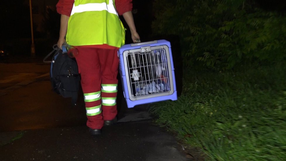 V bytě v pražských Hájích začalo hořet. Kouře se nadýchal i papoušek