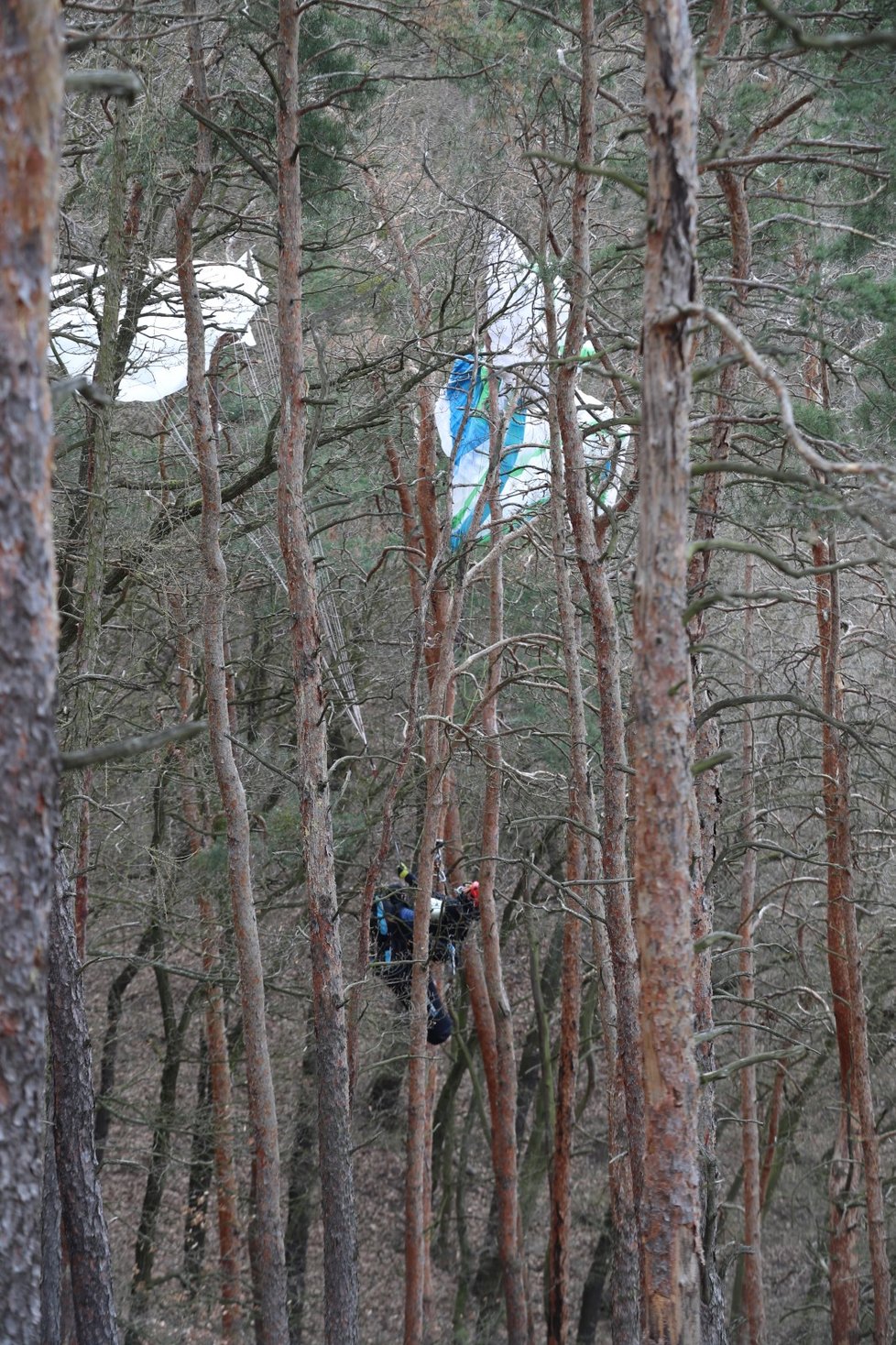 Paraglidista uvázl na stromě (14. dubna 2021).