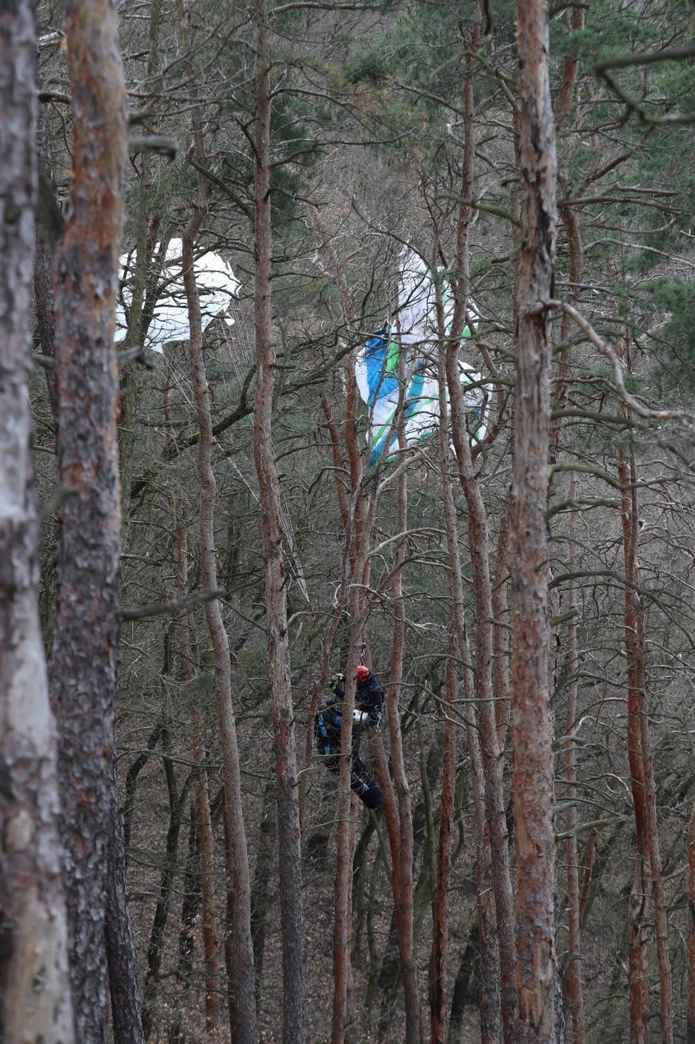 Paraglidista uvázl na stromě (14. dubna 2021).