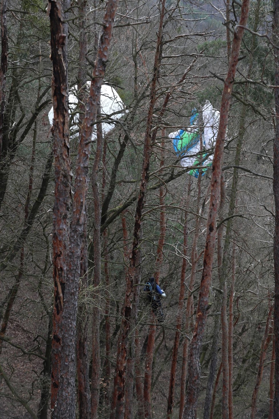 Paraglidista uvázl na stromě (14. dubna 2021).