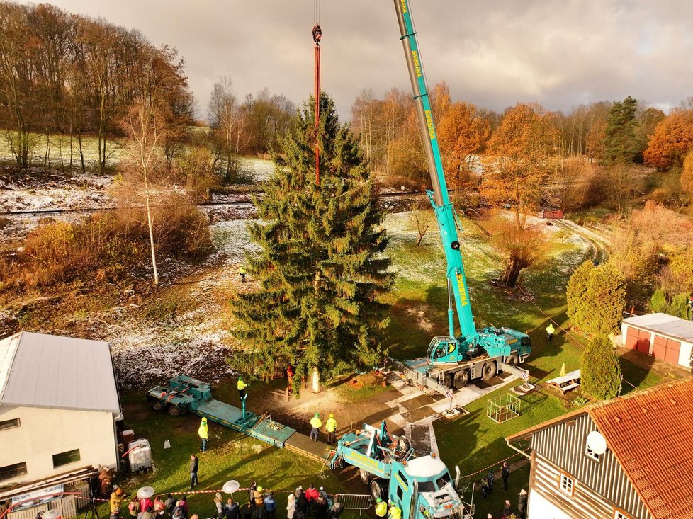Kácení vánočního stromu pro Prahu, 23. listopadu 2023.