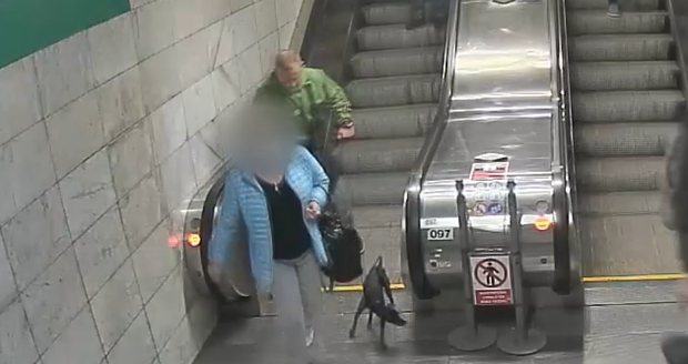 Muži v metru koncem srpna 2021 ukradli psa.
