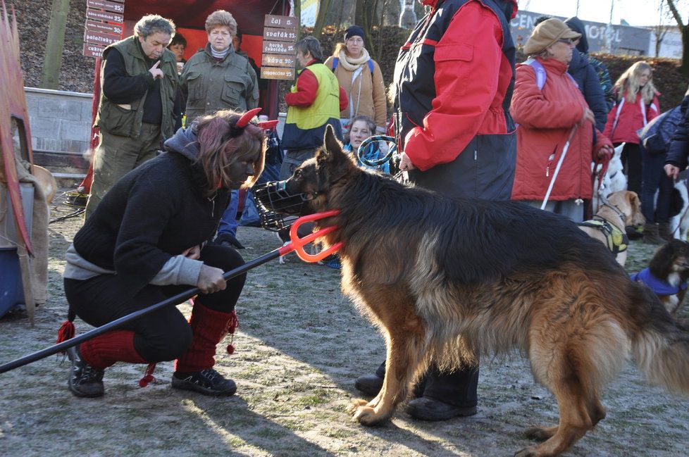 Nadílku dostávají k Mikuláši nejen děti, ale někde i psi.