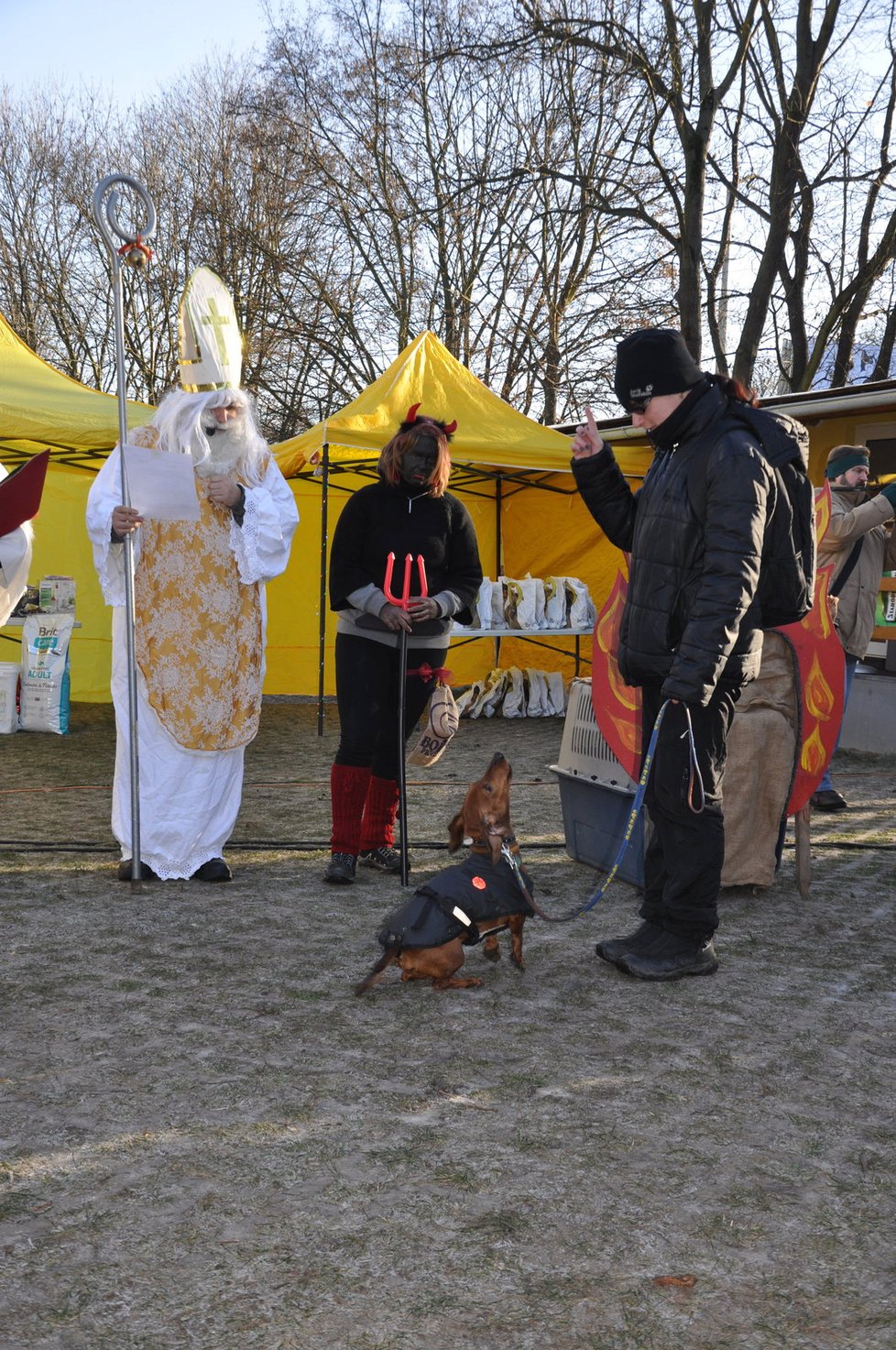 Nadílku dostávají k Mikuláši nejen děti, ale někde i psi.