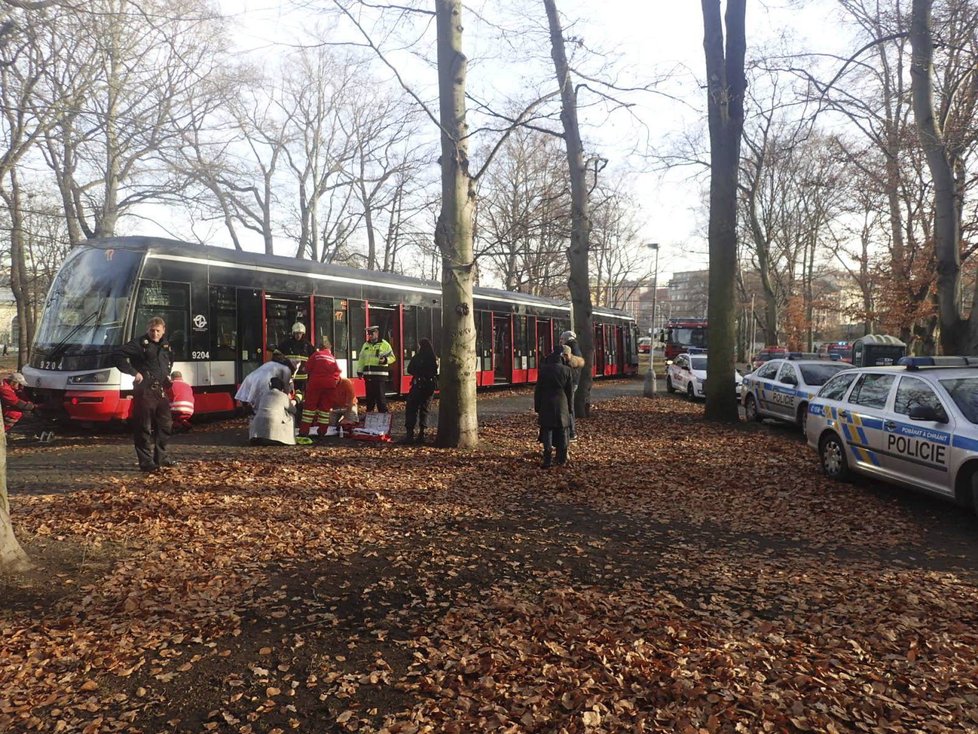 Veterinární záchranná služba zasahovala o víkendu ve Stromovce. Štěně tam vběhlo pod jedoucí tramvaj.