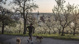 Mácha se děsí! Petřínu hrozí masívní kácení a betonová zástavba