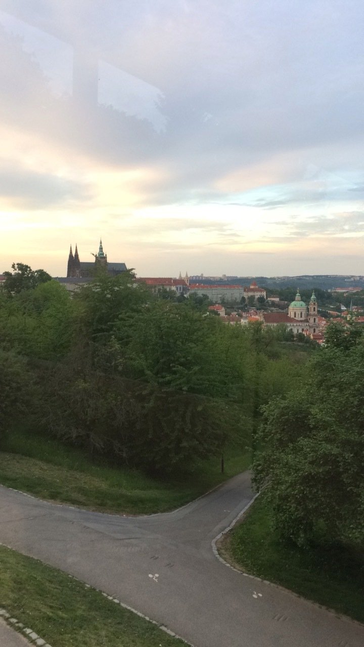 Sedm plchů velkých se vrátilo po devíti měsících zpět do svého domova, do Petřínských sadů.