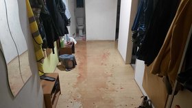 Krvavá řež na Zbraslavi: Syn útočil na otce nožem, rozbodal i dveře od WC! Oba skončili v nemocnici 