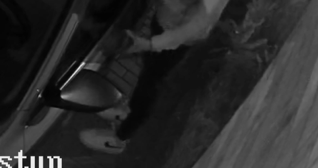 Muž ze zaparkovaného auta ukradl osobní věci majitele i krátkou střelnou zbraň.