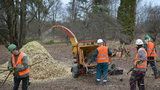 V Pitkovicích vzniká nový park: Bude v něm altánek, hřiště i ohniště