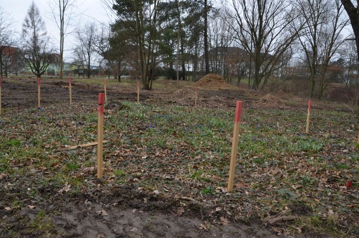 Kolem Pitkovických rybníků vznikne nový park. Bude mít altánek, hřiště a ohniště.