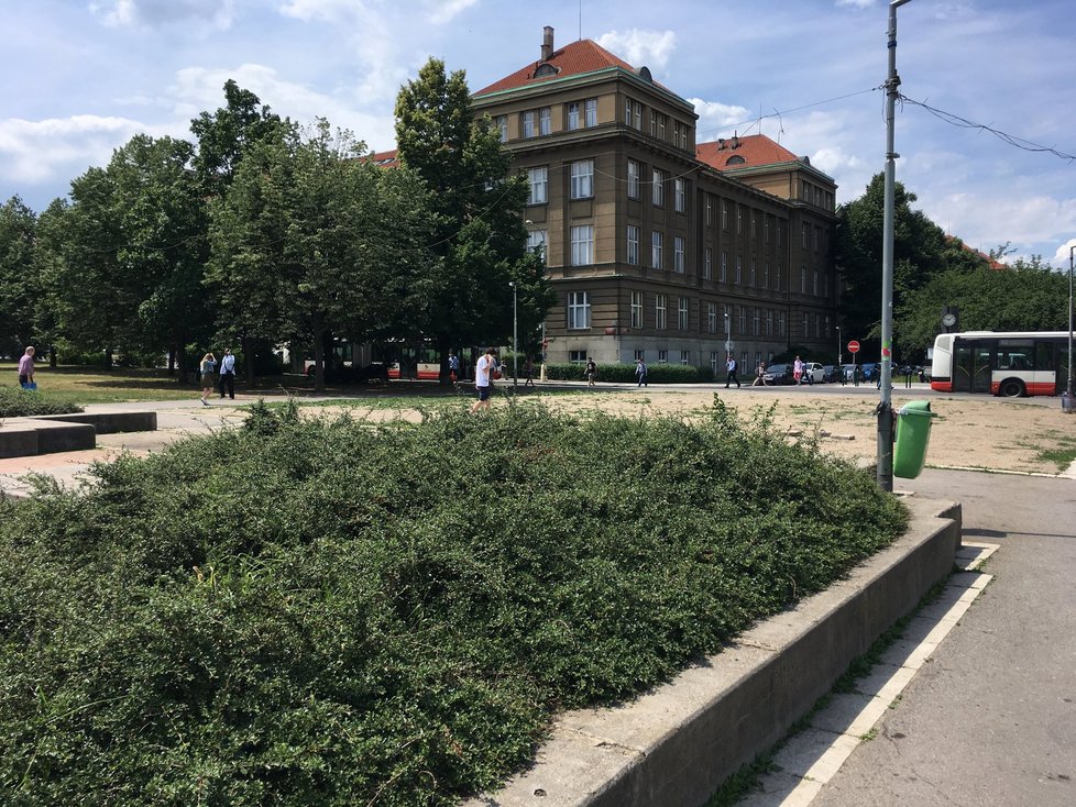 Na tomto místě by měla vzniknout pláž, o víkendu však ustoupí farmářským trhům.