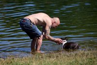 Česko spálilo až 37,5 °C, rekordy hlásí polovina stanic. A bude ještě hůř