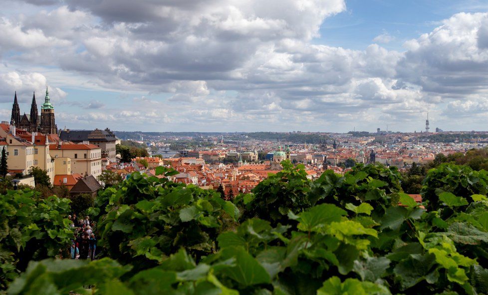 Čeká nás větrný pátek, sobota s mrazíky a teplá neděle