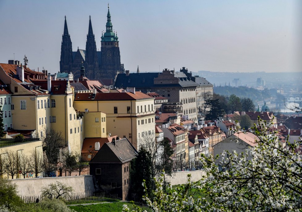 Příští týden jarní, teploty vystoupí na 22 stupňů.