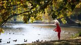 „Letošní podzim byl jeden z nejteplejších za 247 let," hlásí Klementinum. Rekordmanem je rok 2015