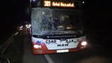 Autobus smetl na silnici do Kutné Hory koně: Náraz nepřežil, cestující vyvázli bez zranění