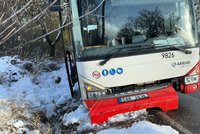 Autobus na Kutnohorsku narazil do stromu: Řidič zkolaboval a zemřel