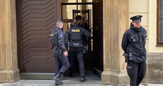 Policisté u vchodu do poslanecké sněmovny, 30. ledna 2020.