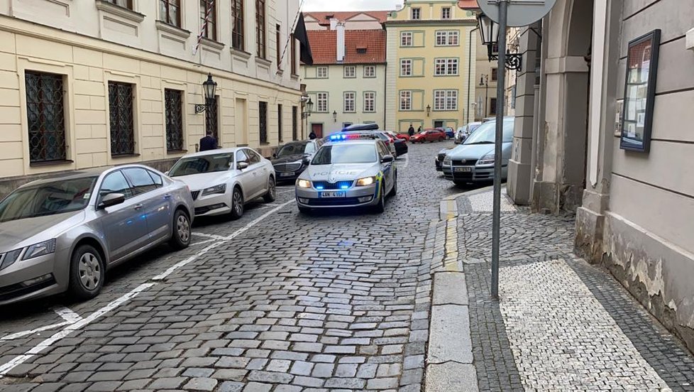 Policisté u vchodu do poslanecké sněmovny, 30. ledna 2020.