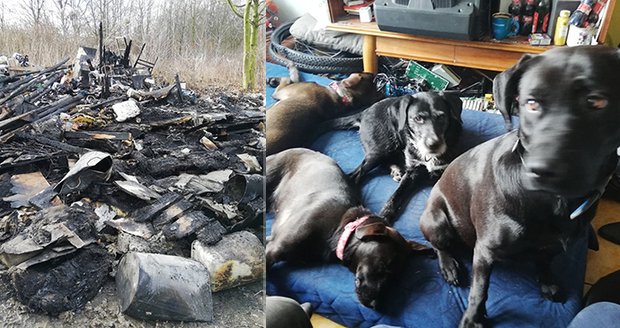 Vánoční tragédie: Jirkovi při požáru uhořelo sedm psů, přišel o všechno! Lidé mohou pomoci ve sbírce
