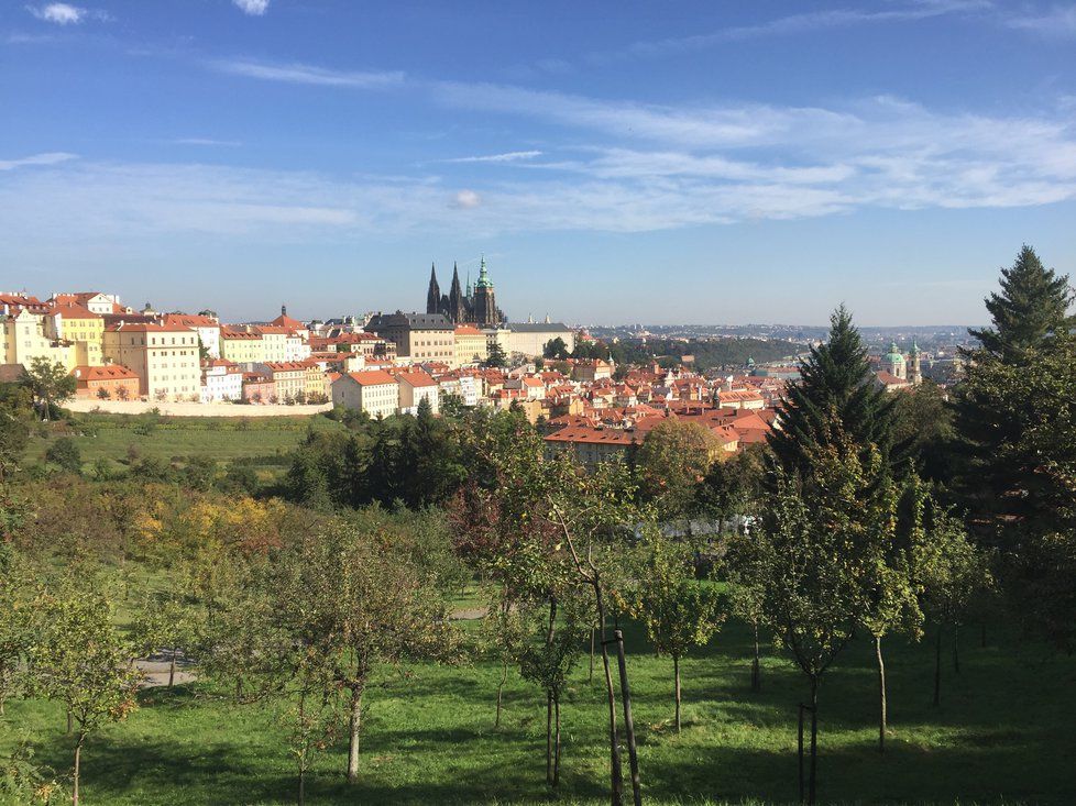 Radní projekt zázemí a záchodů ve Velké strahovské zahradě na jednání 2. prosince zrušili.