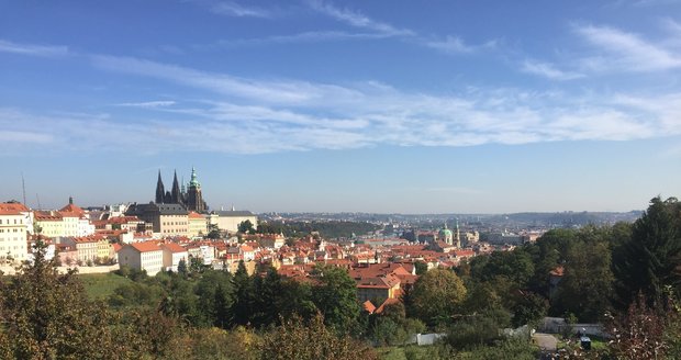 Ve Velké strahovské zahradě byla zahájená příprava stavby veřejných záchodů a zázemí pro zahradníky.