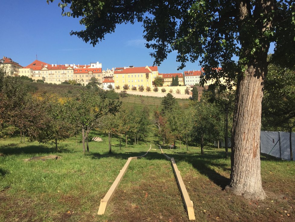 Radní projekt zázemí a záchodů ve Velké strahovské zahradě na jednání 2. prosince zrušili.