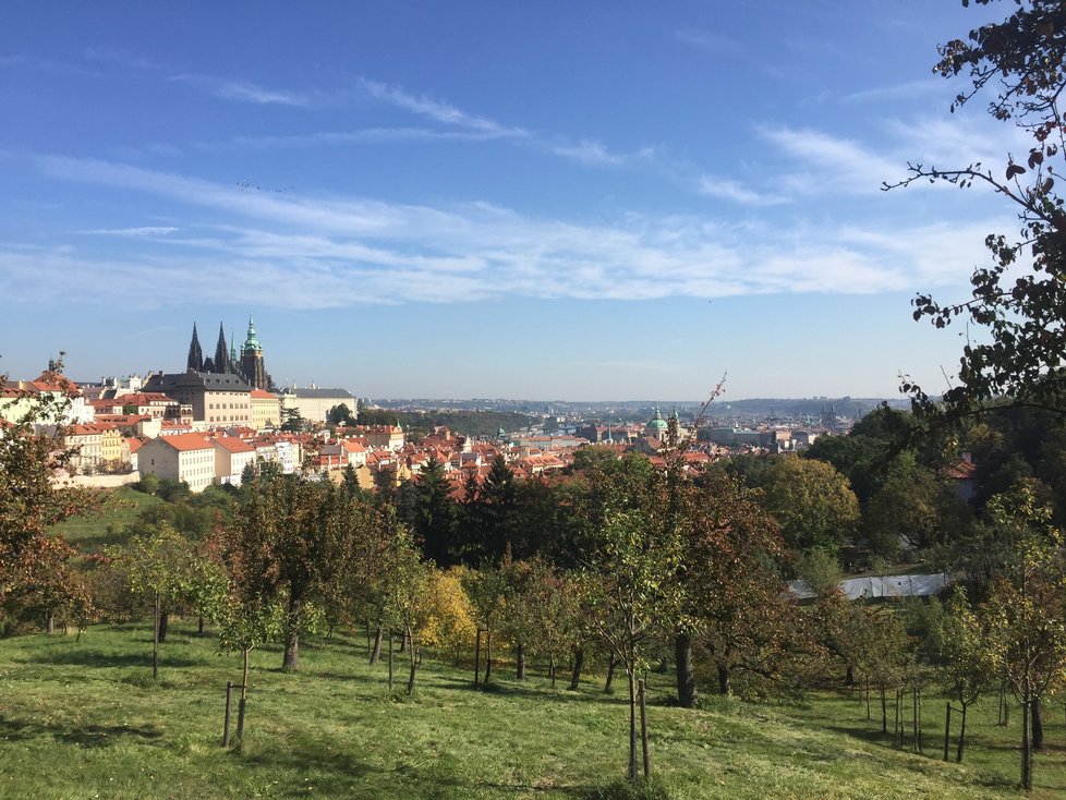 Ve Velké strahovské zahradě byla zahájená příprava stavby veřejných záchodů a zázemí pro zahradníky.