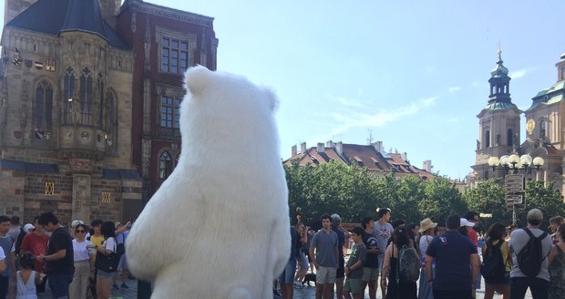 Na Staroměstském náměstí přibývají obří kostýmy. Tentokrát tu však pózoval jen lední medvěd.