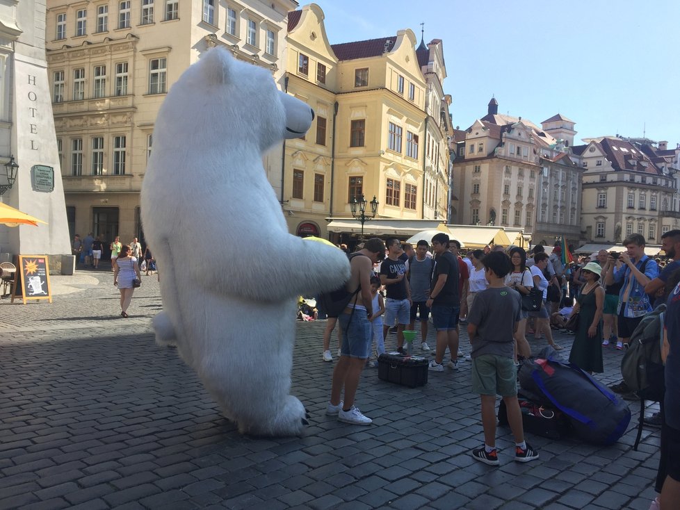 Na Staroměstském náměstí přibývají obří kostýmy. Tentokrát tu však pózoval jen lední medvěd. (2019)