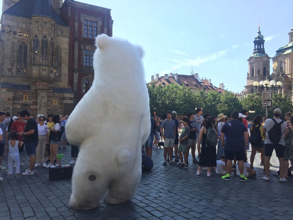 Na Staroměstském náměstí přibývají obří kostýmy. Tentokrát tu však pózoval jen lední medvěd. (2019)