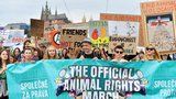 Prahou prošel průvod za práva zvířat: Zúčastnily se ho stovky lidí