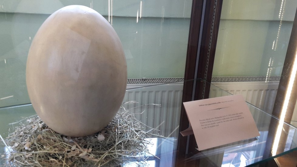 Nejstarší vejce v Čechách, které je staré 8 tisíc let