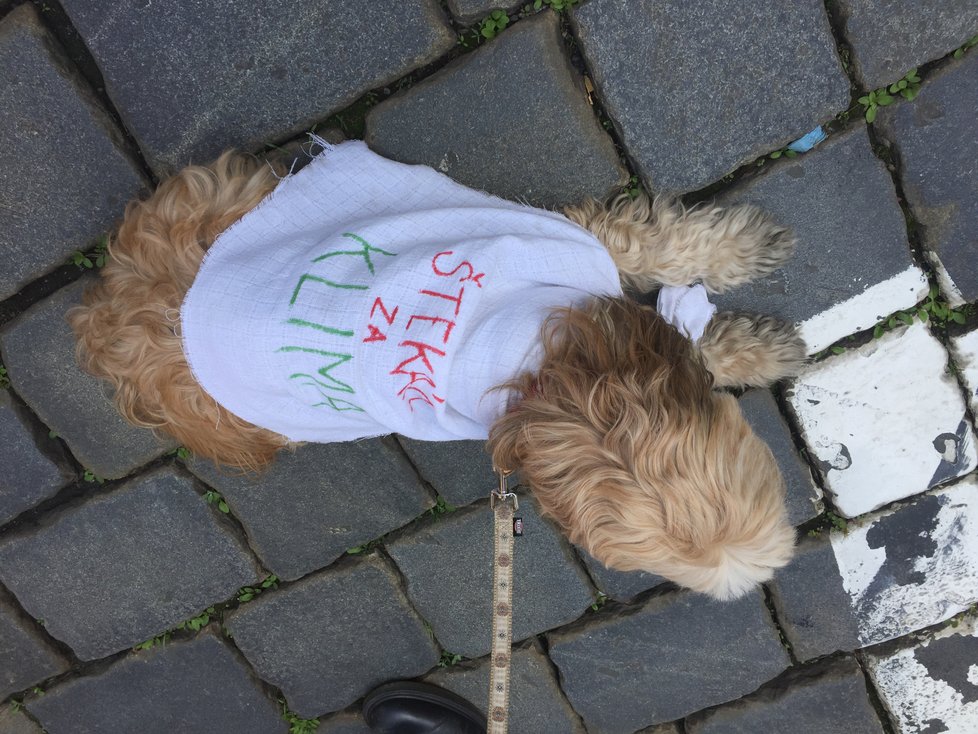 Z Malostranského náměstí vyrazily stovky středoškoláků na pochod na Staroměstské náměstí a zpátky. Pro mnohé z nich to byla vůbec první demonstrace.