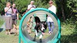 Ve Stodůlkách mají překážkovou dráhu pro psy: Obyvatelé si ji vymodlili na radnici