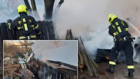 Pražští hasiči uhasili přístřešek bezdomovců nedaleko ulice Rozvadovská spojka v Praze 13. Uvnitř nalezli 6 torz těl psů.